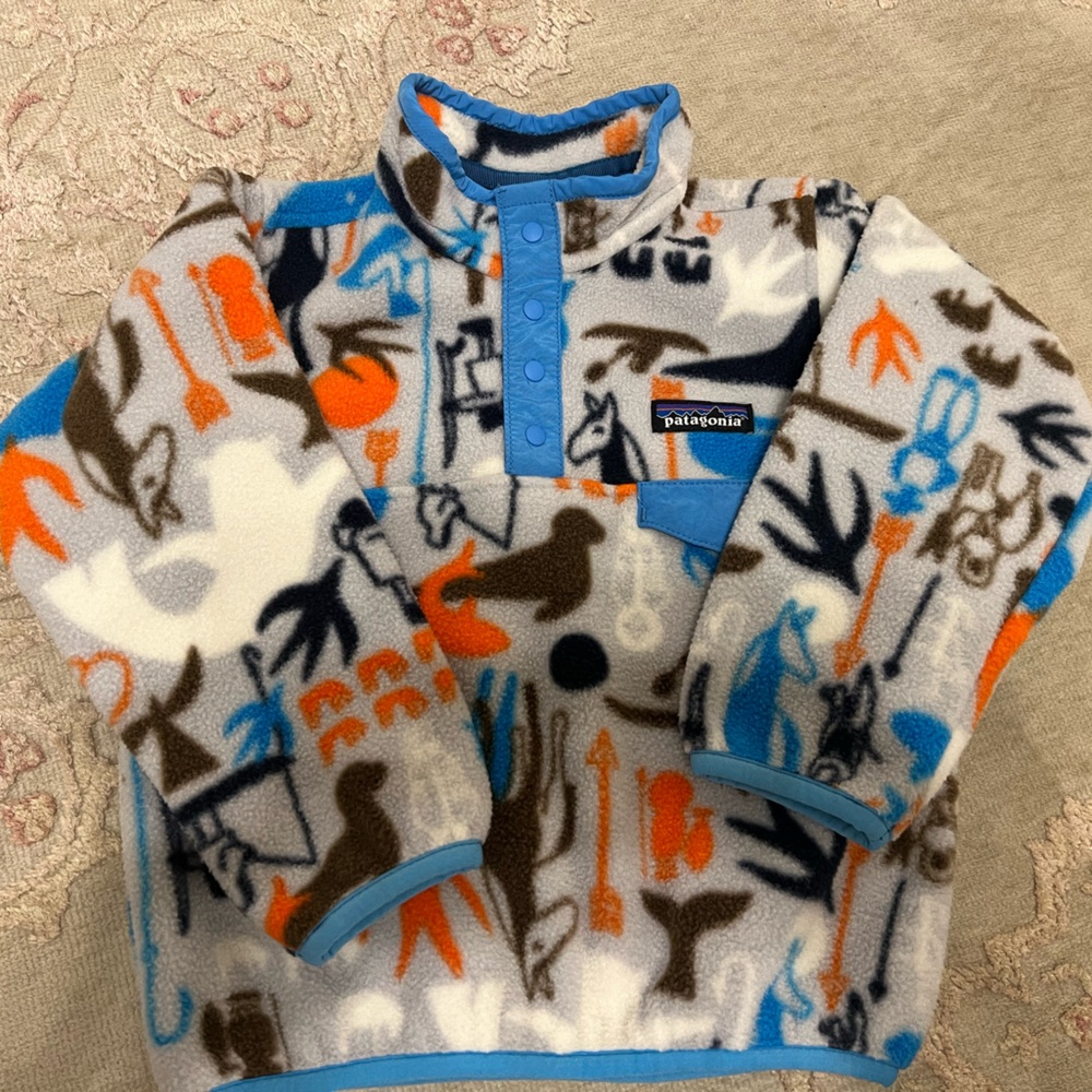 Patagonia Synchilla Fleece with Blue Accents